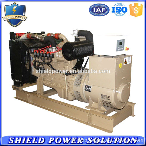 300KVA Big Power CNG Generator Set, Factory Price LPG/CNG/Biogas Generators